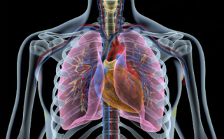 肺癌早期有六大信号