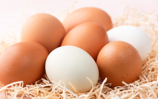 红壳、白壳，哪种鸡蛋更营养？