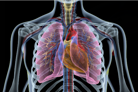 肺癌早期有六大信号-第1张图片-中国中医健康网